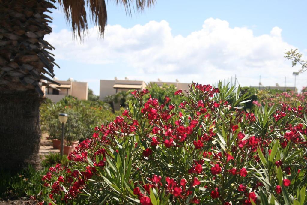 Residence Punta Longa Favignana Buitenkant foto
